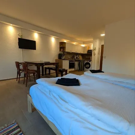 Ruhiges 1 Mit Terasse Apartamento Chemnitz